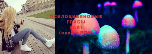 скорость Алзамай